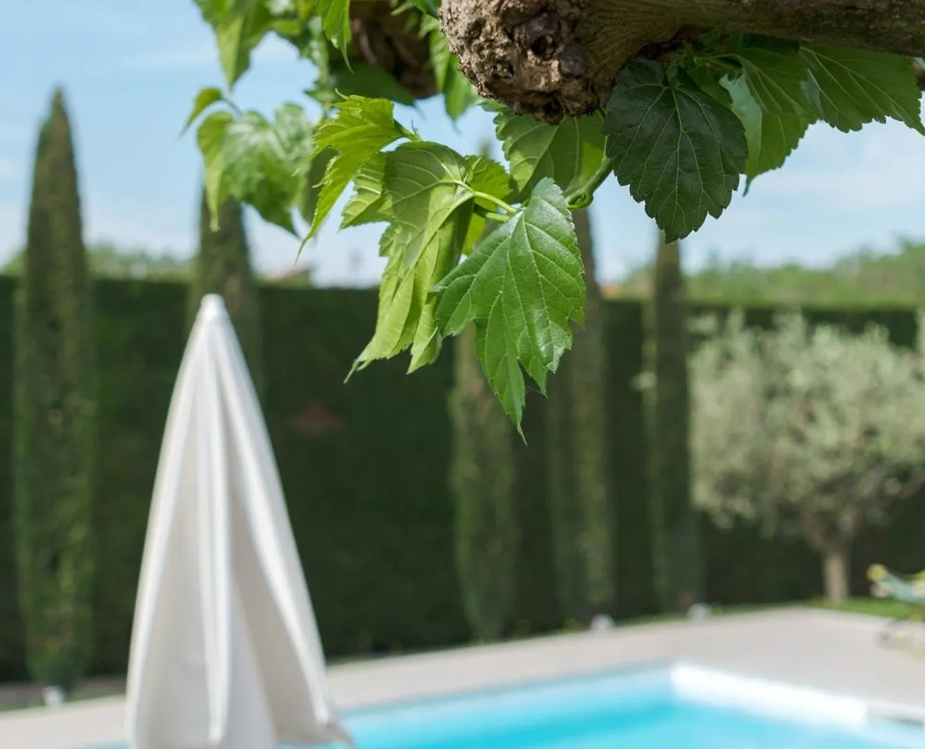 Villa Carini With 3000 Mq Garden & Heated Pool Castelnuovo del Garda 0*,